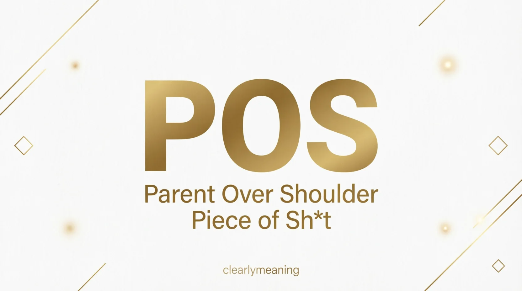 Does POS Mean in Text 2026