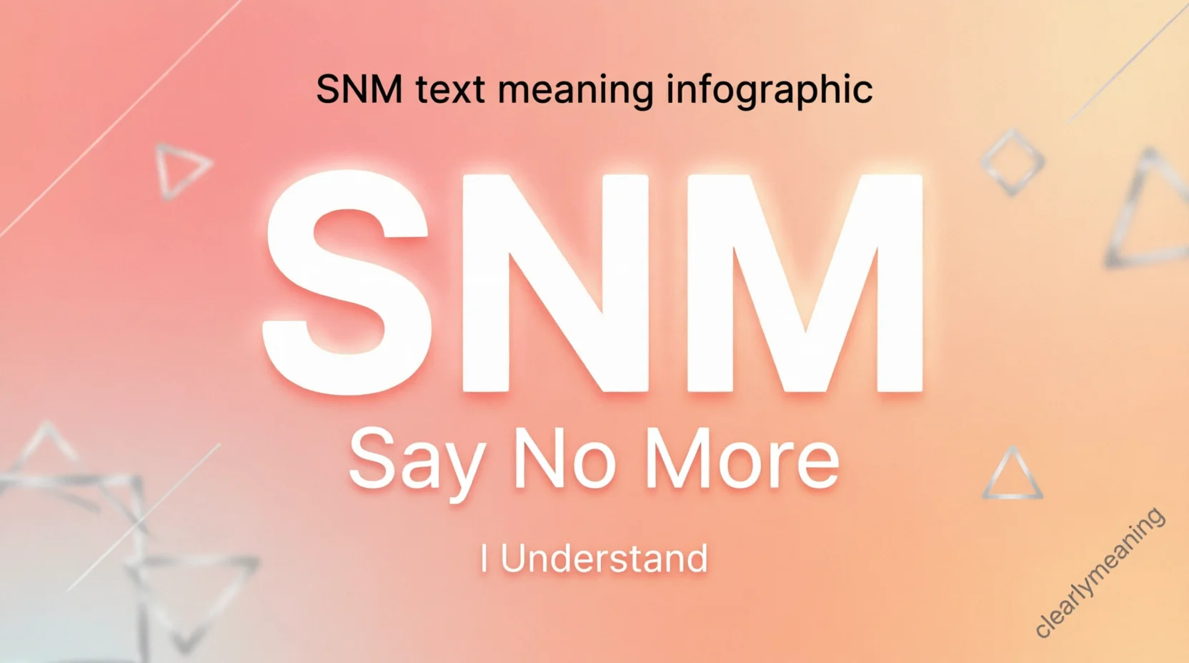 SNM Mean in Text The 2026
