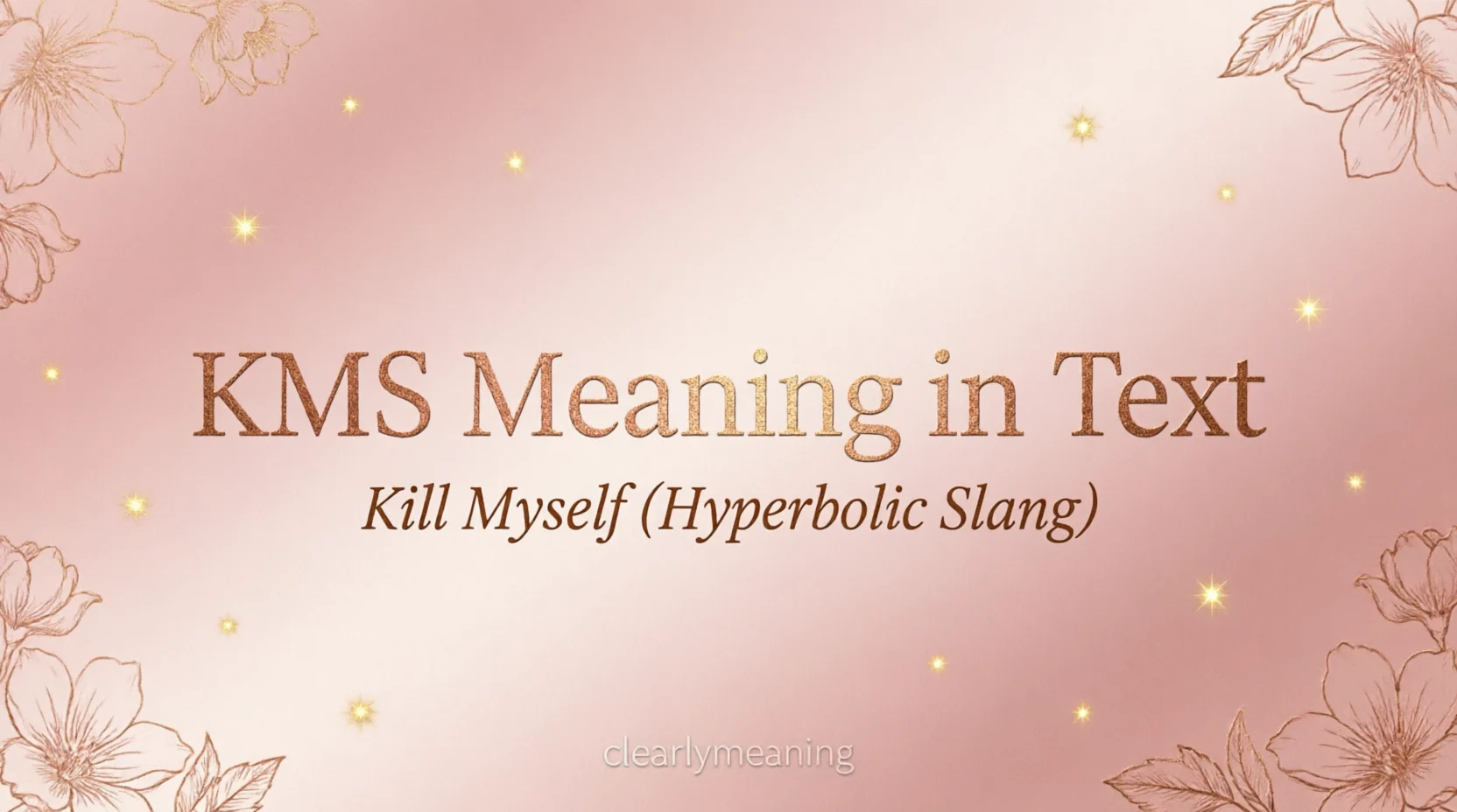 KMS Meaning Mean in Text Real Meaning 2026